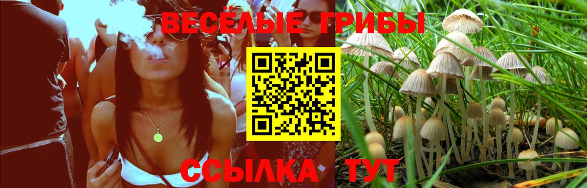 Галлюциногенные грибы прущие грибы Кизляр