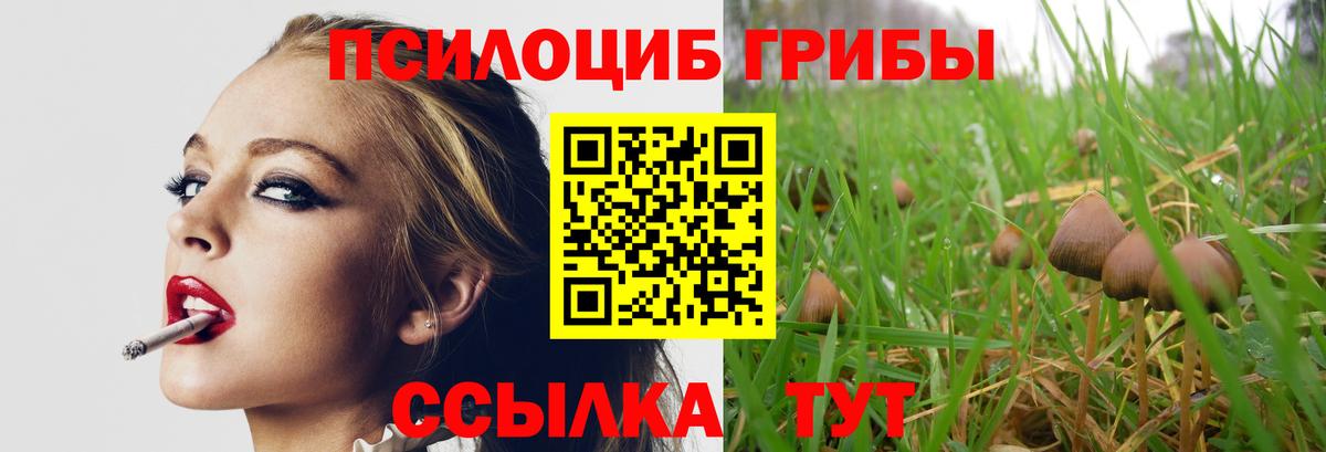 Псилоцибиновые грибы прущие грибы  Вход с VPN  Кизляр 